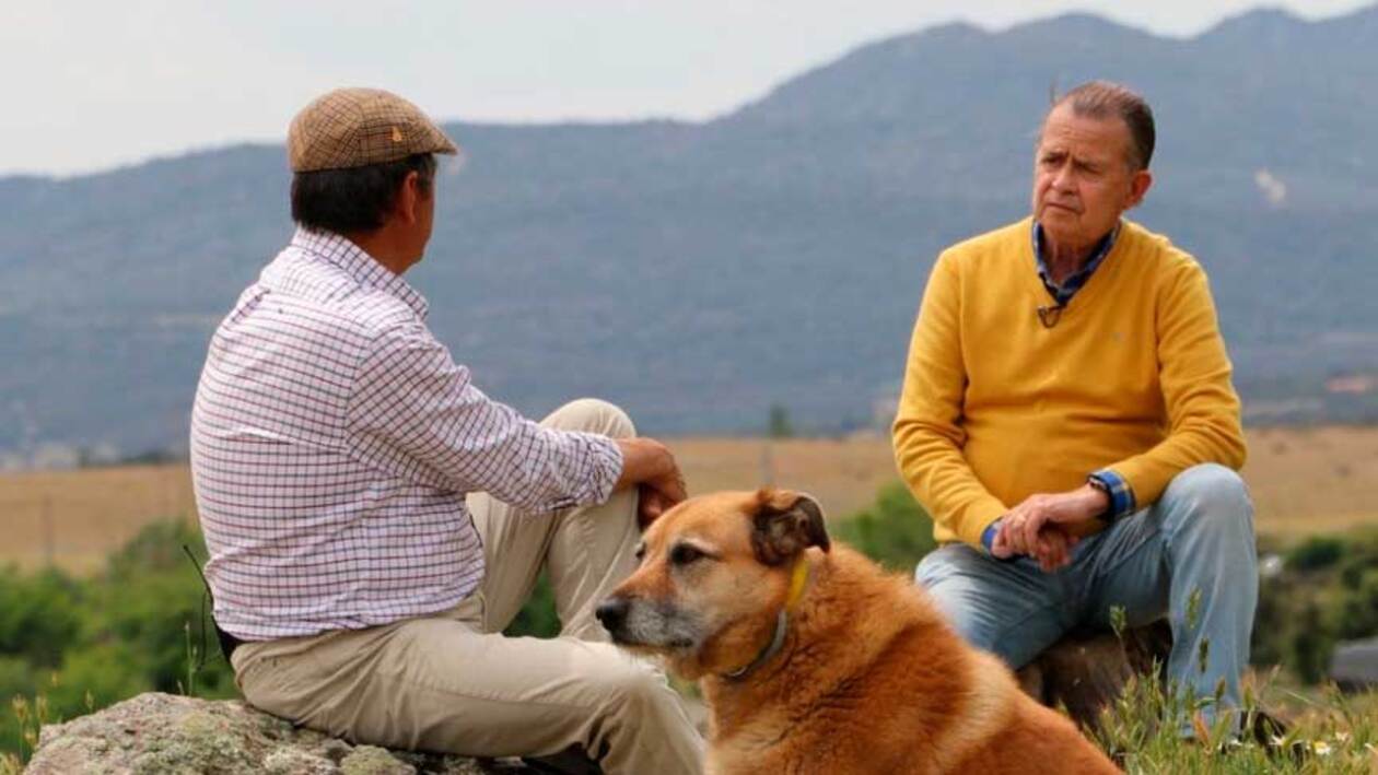 El Burladero de La 8